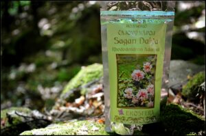 Čajový nápoj Sagan Dalya – Rhododendron Adamsii